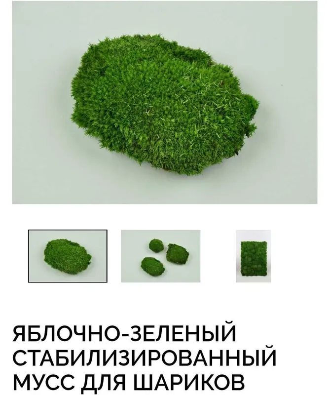 Стабилизированный природный мох доставка под заказ — фото 5