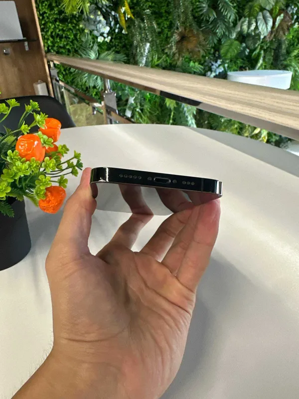 iPhone 13 Pro 256gb 77% 6