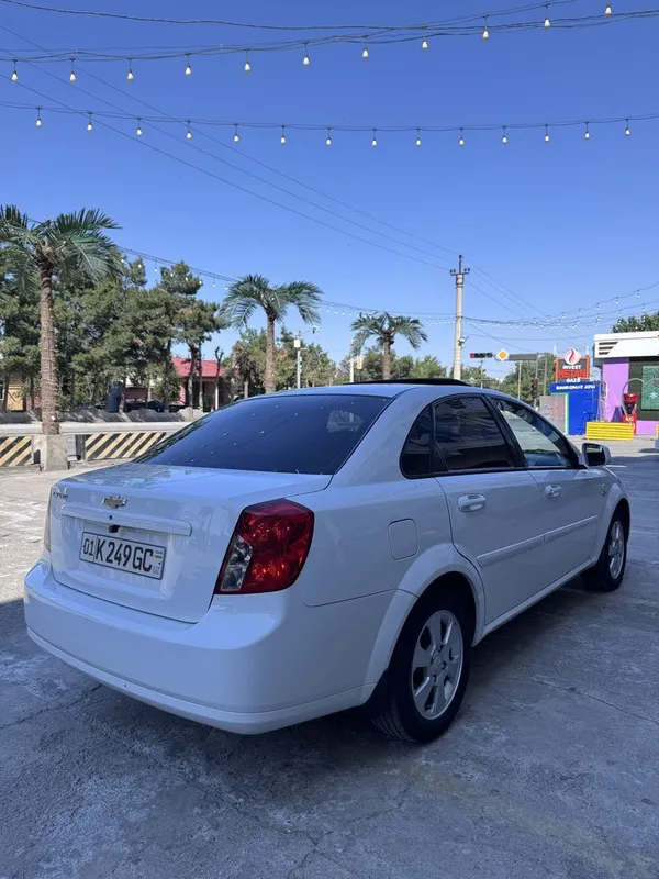 Kraska Tozza !!! Jentira Elegant plus 2019 yil — фото 3