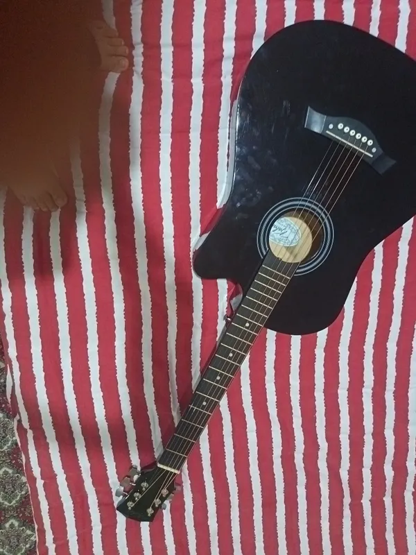 combat gitarasi zur ferma 700 000 ming som