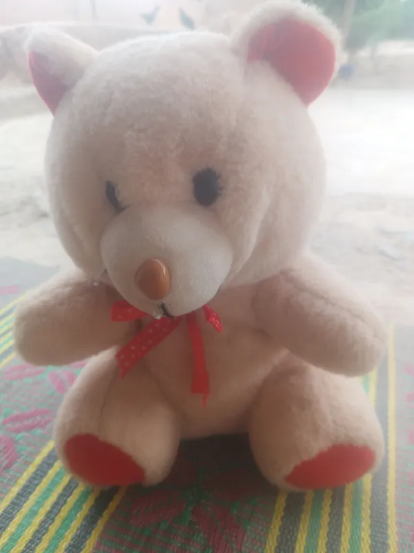 ayiqcha