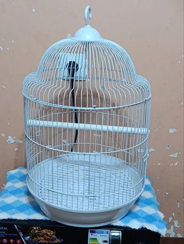 Куш, учун кафас жуда чройли