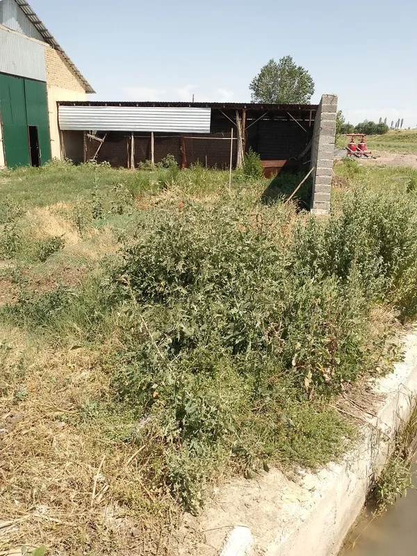 Срочно продается база 43 сотки! 2