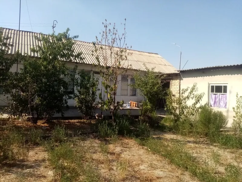 Hovli uy sotiladi 4 Hovli uy sotiladi 4