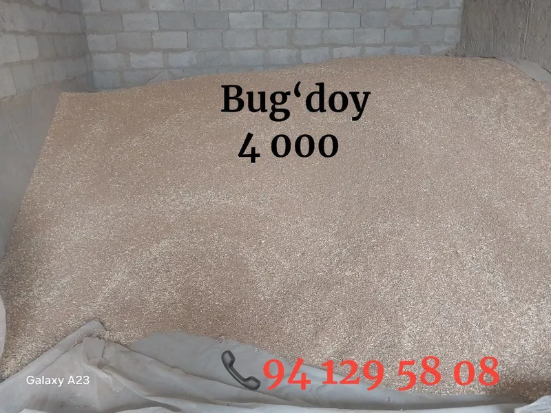 Beda pirs,35 000 Samon pires, 22 000 Bug‘doy, 4 000Tariq. 32 000 — фото 2