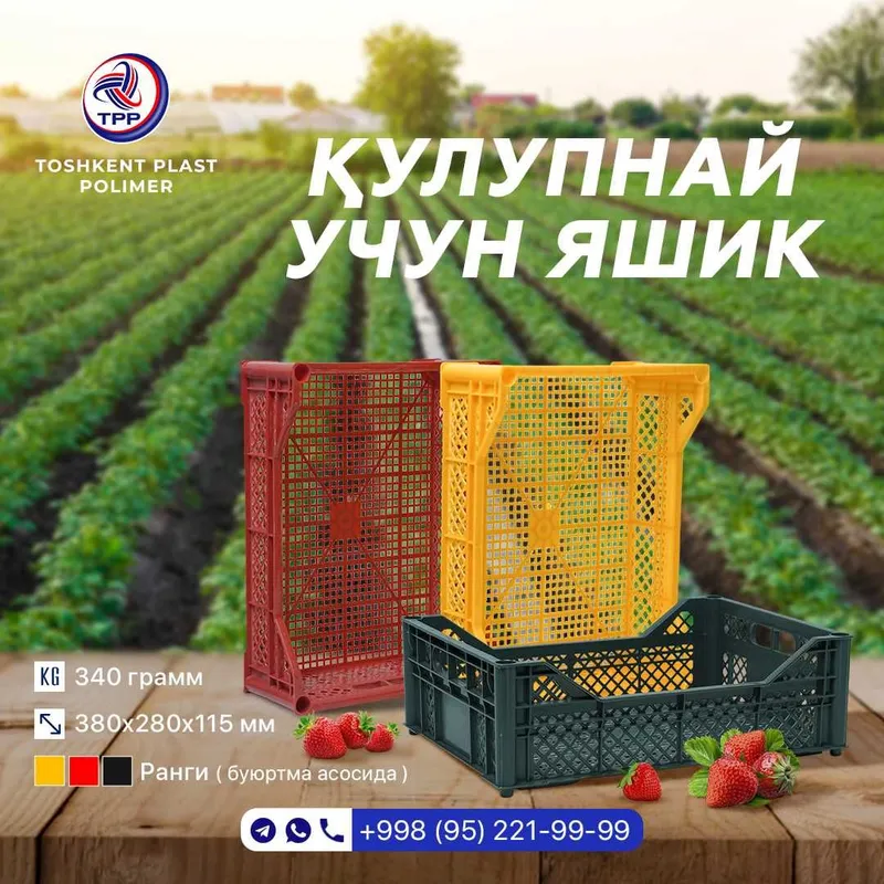 Ящик 600x400x250 мм для крупных овощей | прочный пластиковый — фото 5 Ящик 600x400x250 мм для крупных овощей | прочный пластиковый — фото 5