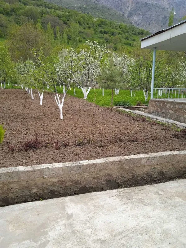 продаётся Дом в Бостанлыкском районе село Испай — фото 2