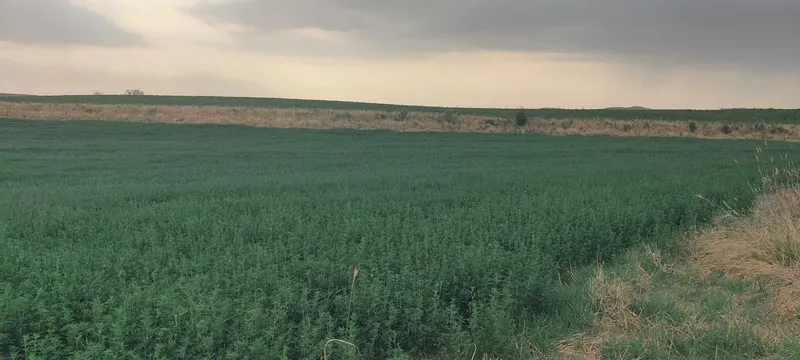 Beda press optom — фото 3