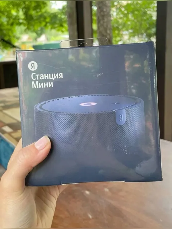 Yandex stansiya mini — фото 1
