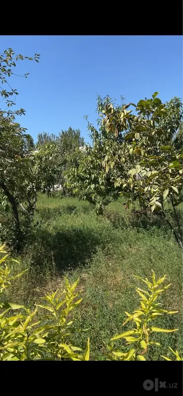Bogdod tumani Maylavoy qishlogi 10 sotixli yerimiz sotiladi 2 Bogdod tumani Maylavoy qishlogi 10 sotixli yerimiz sotiladi 2