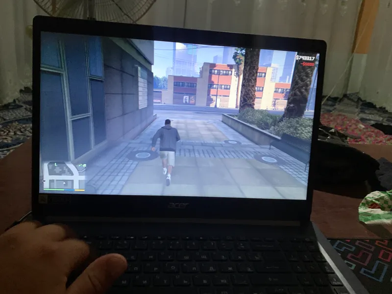 acer acer
