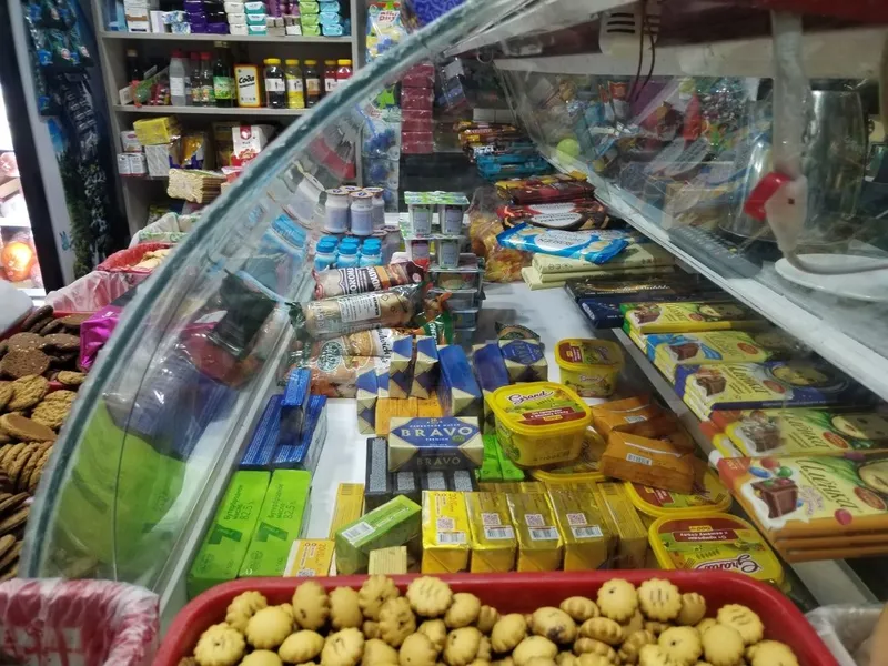 Vetrini xaladelnik 3