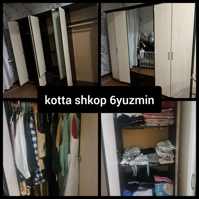 Shkof kotta 6yuzmin kami bor