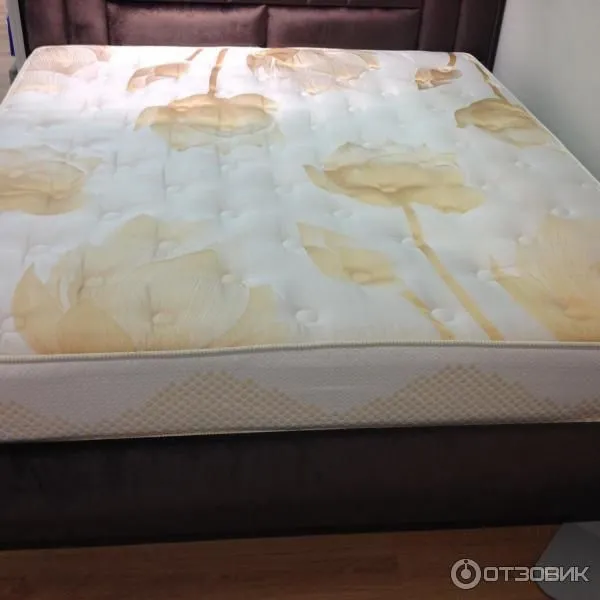 химчистка ковров и мебели OOO "Diamond clean" — фото 5
