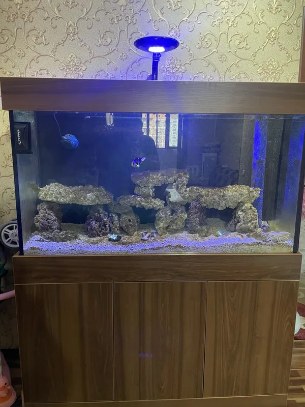 Морской аквариум комплект