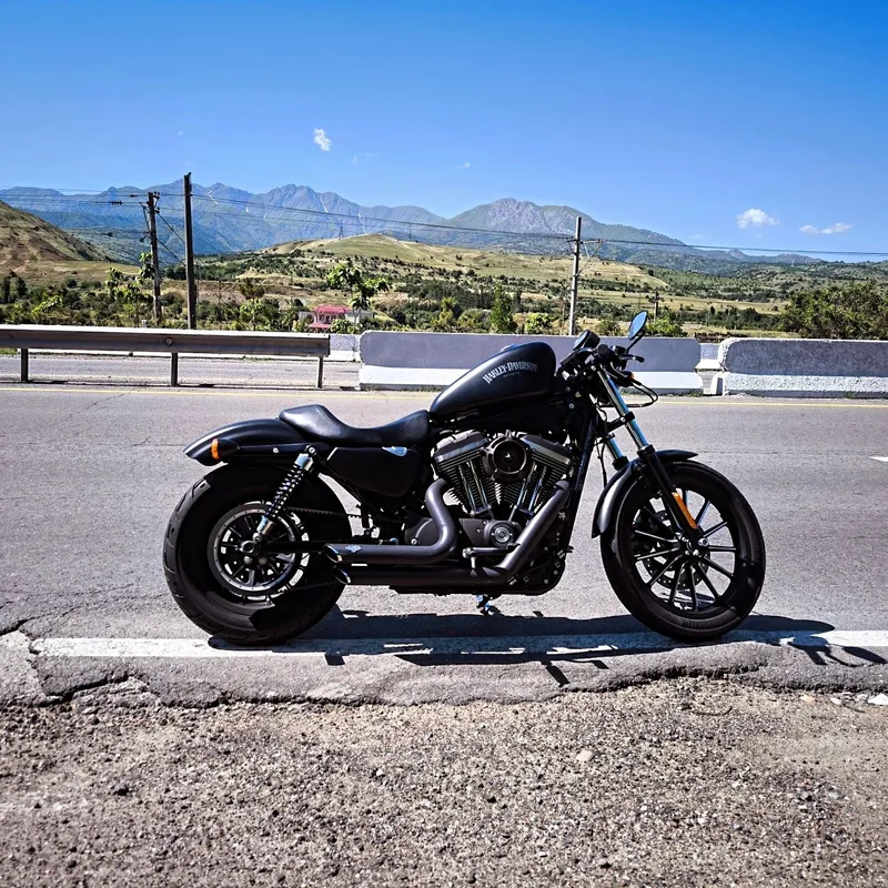 Harley Davidson sportster 883 iron custom 4