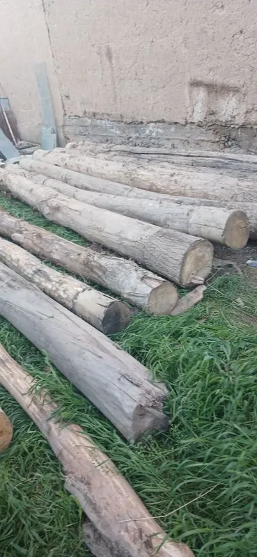 Tosinla bor sotiladigan 6 Tosinla bor sotiladigan 6