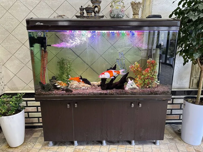 Akvarium sotiladi 2