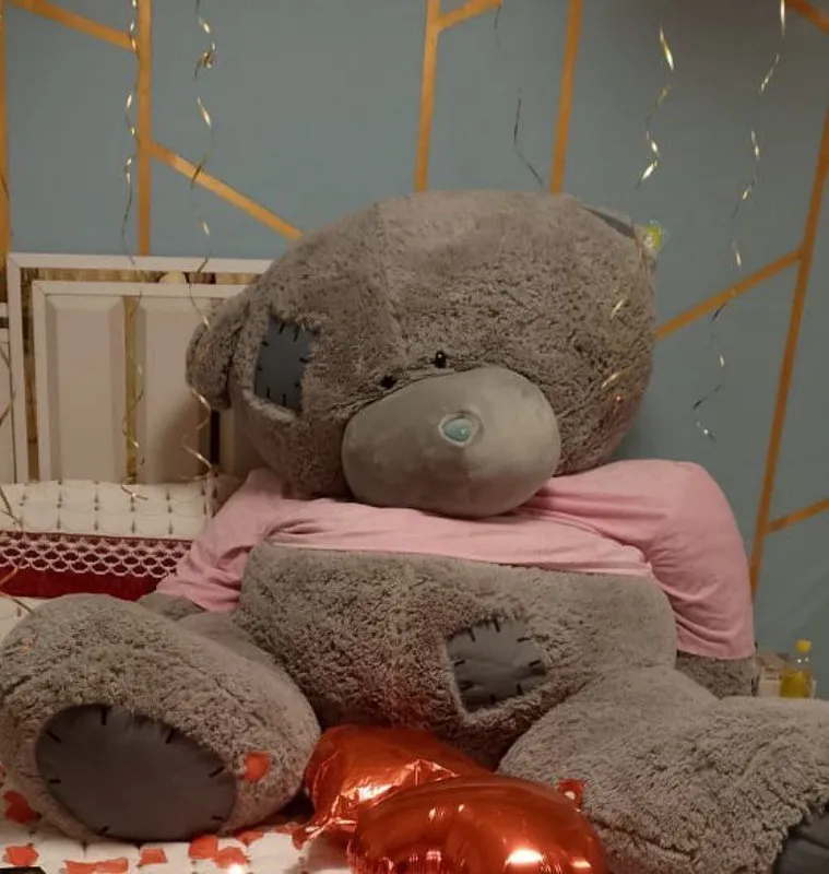 Teddy 2 metr eng kattasi