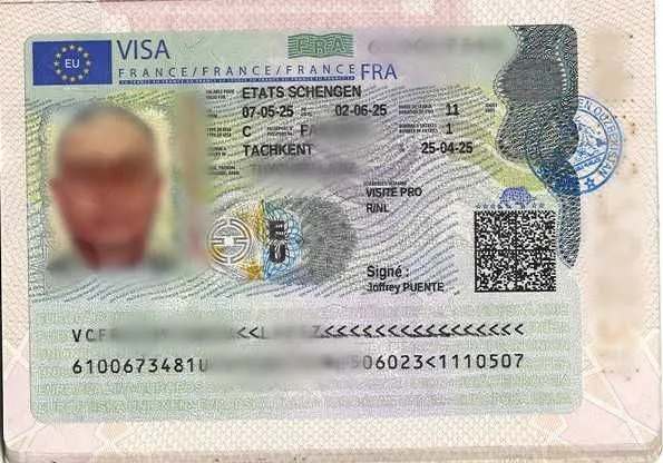 Визовая поддержка Франция Германия, Шенген, Бразилия, Марокко и другие