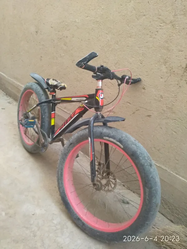 Velosiped arzon narxda