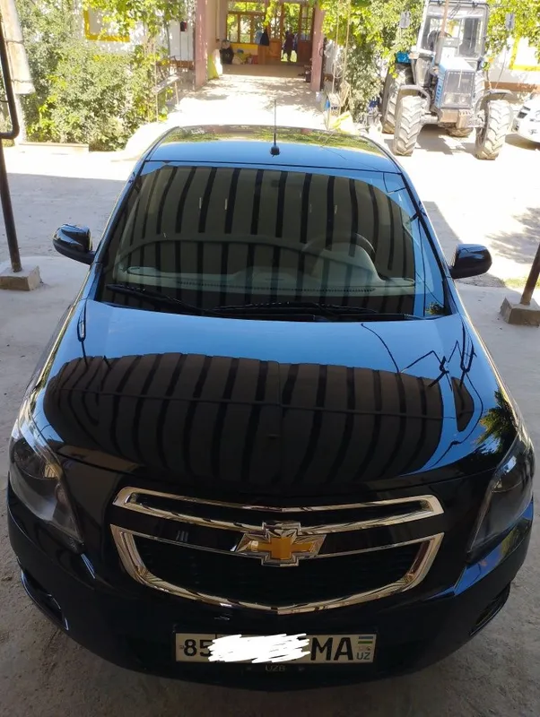 Cobalt midnight 2025