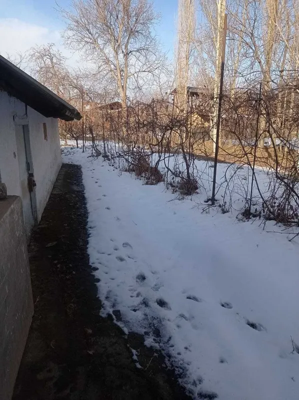 СРОЧНО! Продаётся Дача 14 соток - Паркентский район, Невич — фото 5