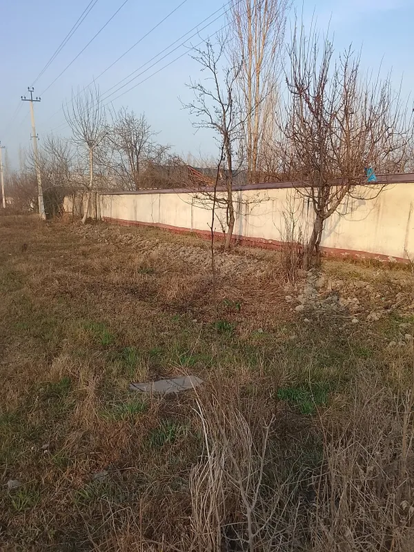 Maktab.bohicha.doʻkonlar.bor — фото 7