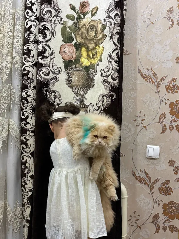 Хайленд кремний свет опитний вязка 1 Хайленд кремний свет опитний вязка 1