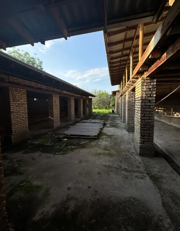 Молхона аренда. Тайёр бизнес