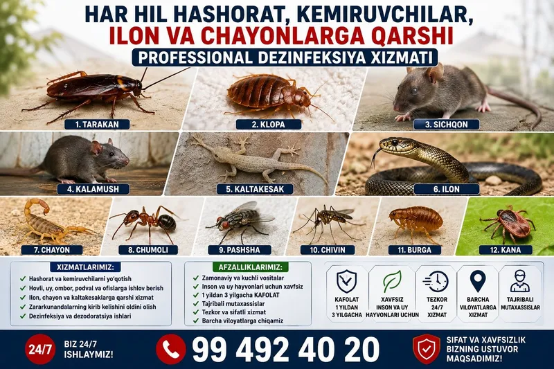 Dezinfeksiya klopa dezinfeksiya klapa tarakan kaltakesak
