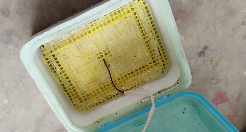 inkubator инкубатор — фото 4