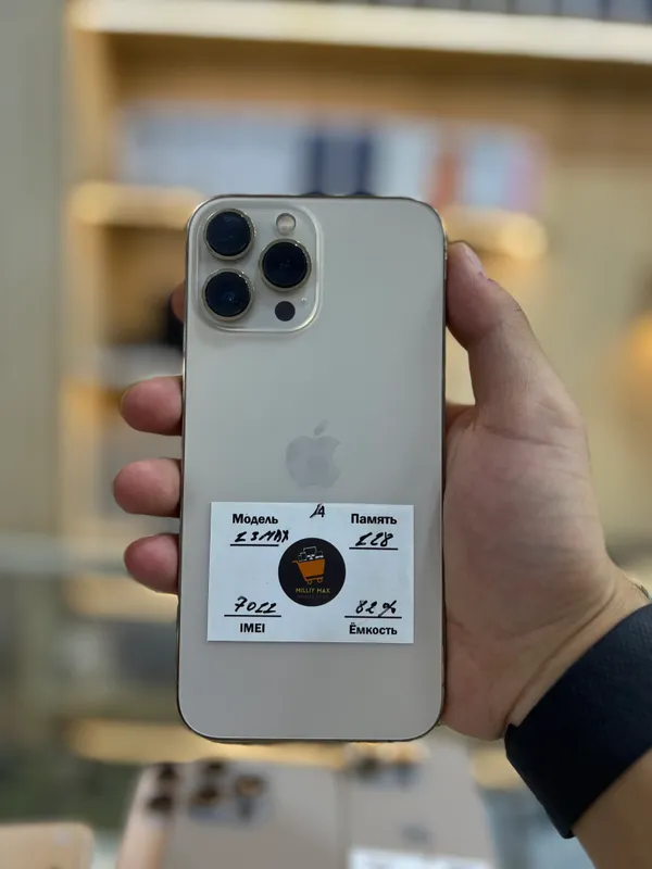 iPhone 13 Pro Max