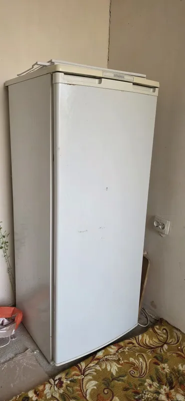 Холодильник брюса 1