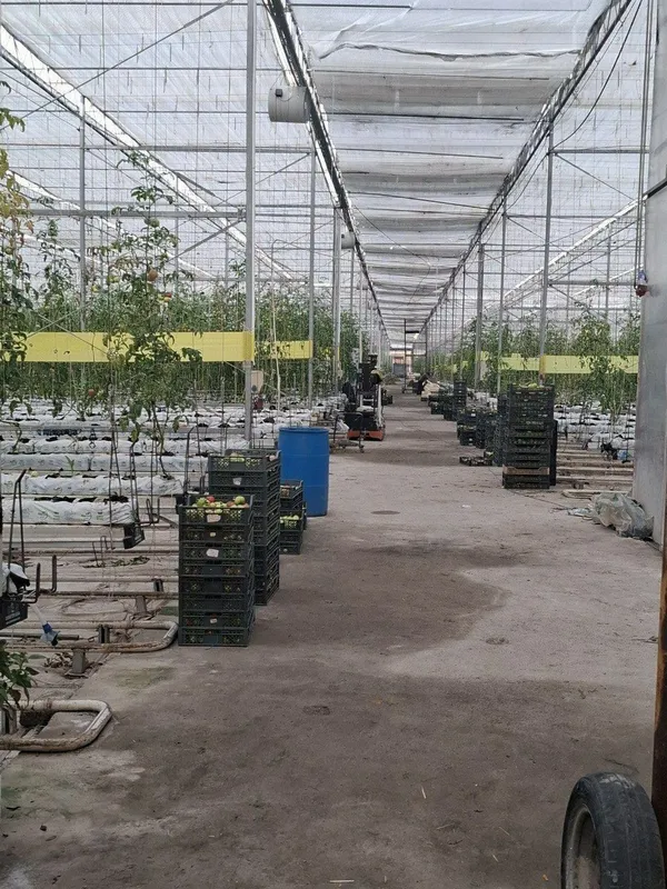 Срочно Продается Земля Кушкунда 16 Гектаров — фото 5