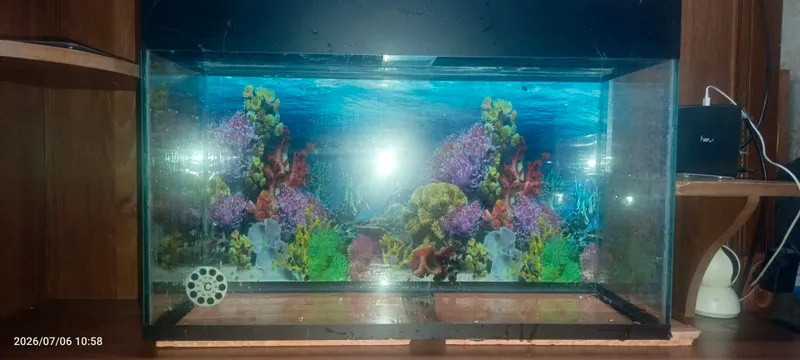 Akvarium 5