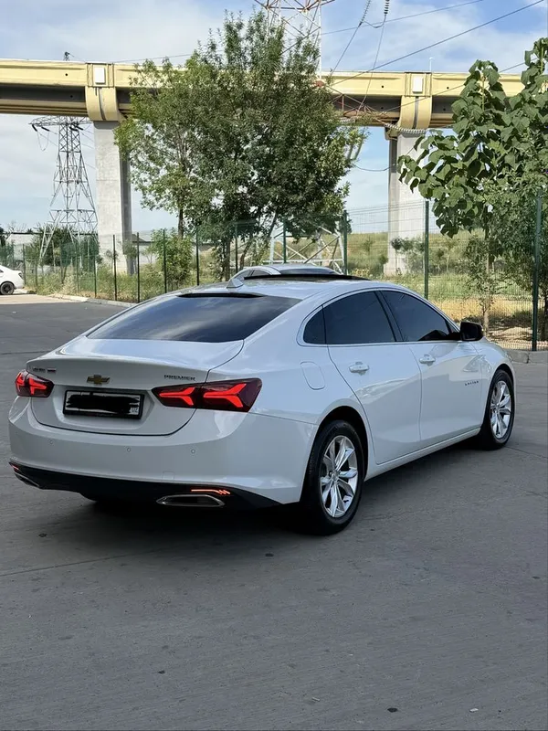 Malibu 2.4 Mator Kraskasi tozza 100% 3 Malibu 2.4 Mator Kraskasi tozza 100% 3