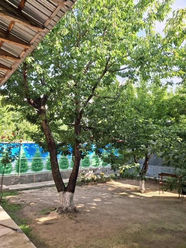 Дача оила ва улфатлар учун — фото 7