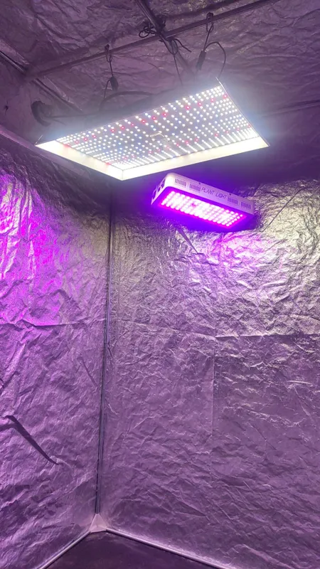 гроу бокс 120×120/200 с комплектом