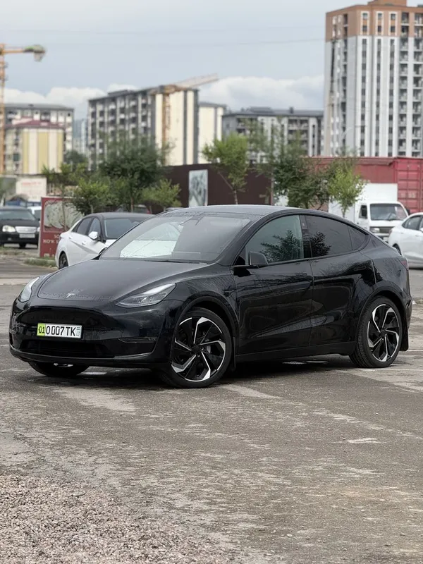 Tesla Model Y Dual motor 4wd — фото 1