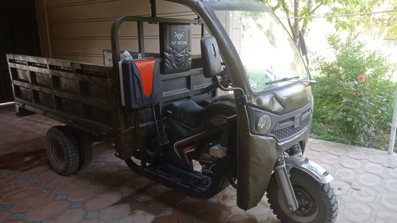 Alp motors murovi 4