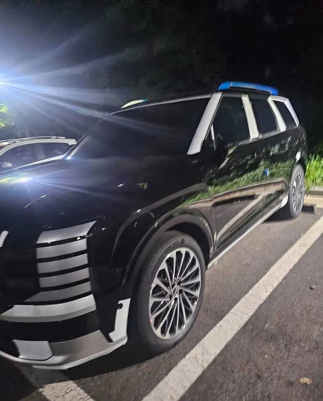 Hyundai Palisade, 2026 год, новый гибрид с нулевым пробегом 3 Hyundai Palisade, 2026 год, новый гибрид с нулевым пробегом 3