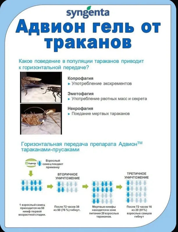 Advion Gel USA от тараканов без запаха — фото 2
