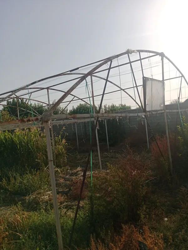 Parnik sotiladi 1.6 sutix kiankasi yangi 80000000m 2 Parnik sotiladi 1.6 sutix kiankasi yangi 80000000m 2