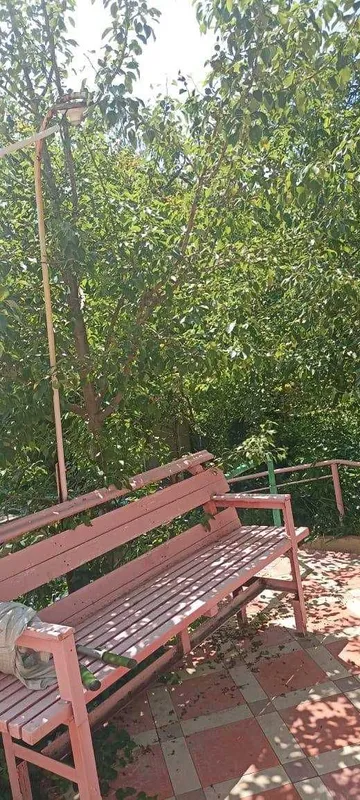 Продаётся дача в Чарваке — фото 2