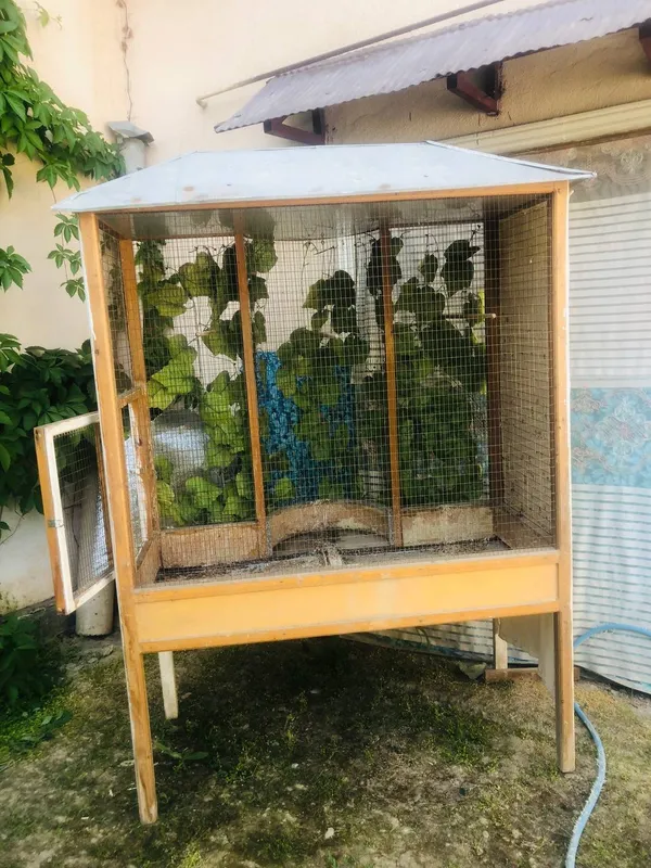Kletka qavas qushlar uchun in uya uy — фото 3