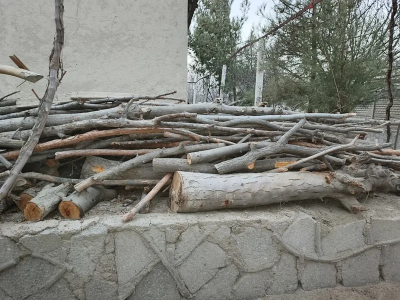 Bir ISUZU yuk moshin o'tin va kunda bor. Narxi 3 mln (bo'lishi shu). — фото 4