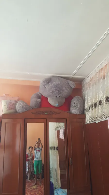 ayiq 500 ming som ga yangi ayiq sotamiz 500 ming s — фото 1