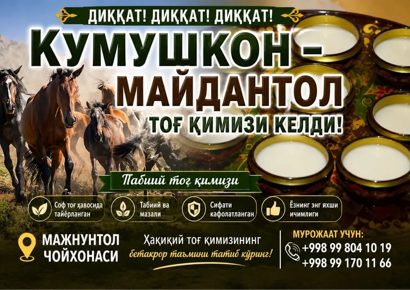 Кимиз бор тог кимизи