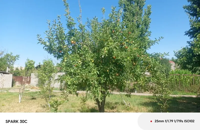 Дом продаётся 12 соток 6